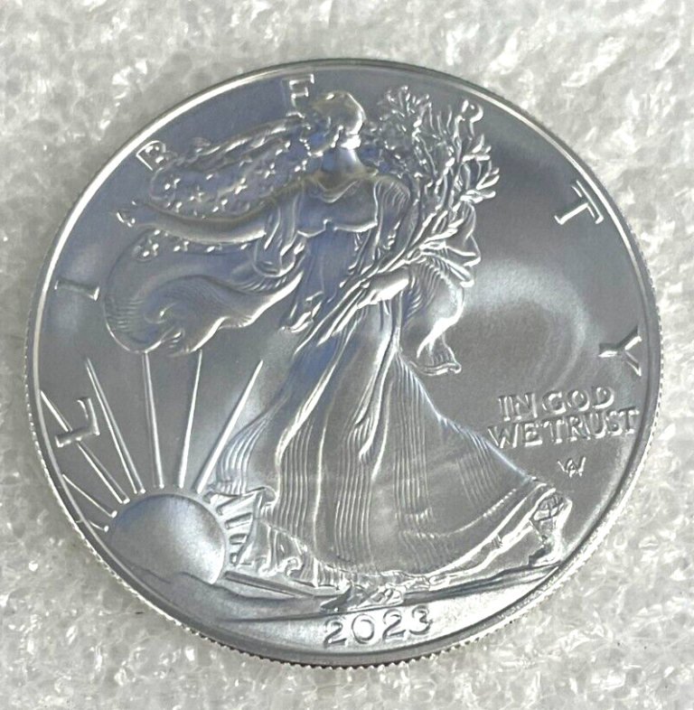 DBS Coins » 2024 Silver American Eagle 1 oz